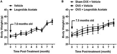 Estropause, Sex Hormones and Metal Homeostasis in the Mouse Brain